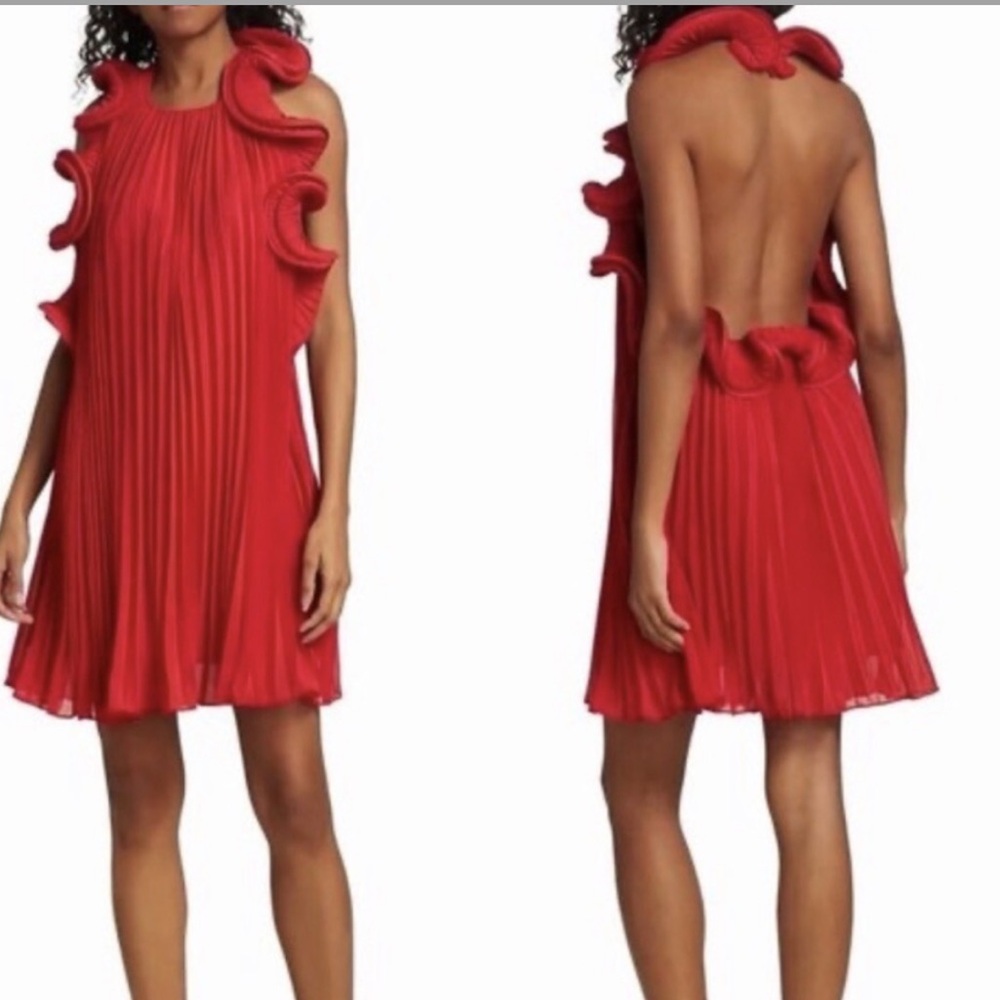 AMUR Mimi Ruffled Pleated Mini Dress - Picture 7 of 9